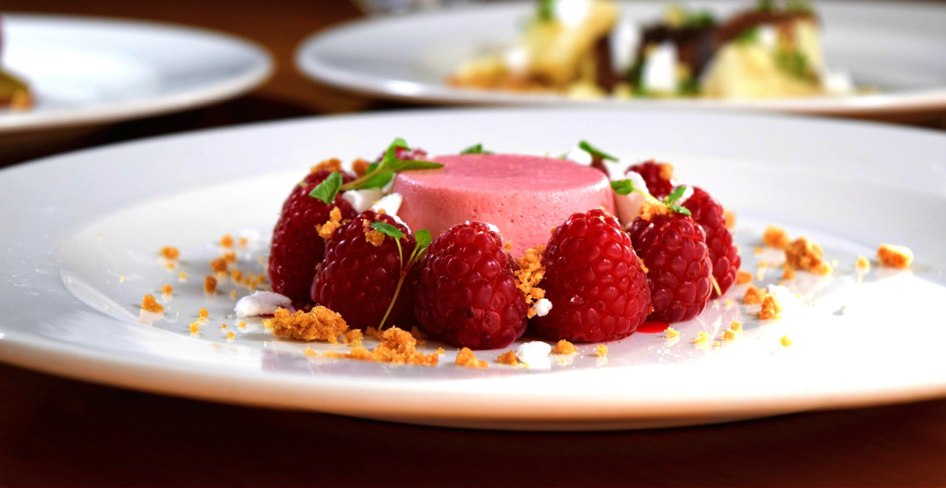 Raspberry panna cotta dessert